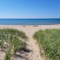 White Pines Backcountry Campground ico
