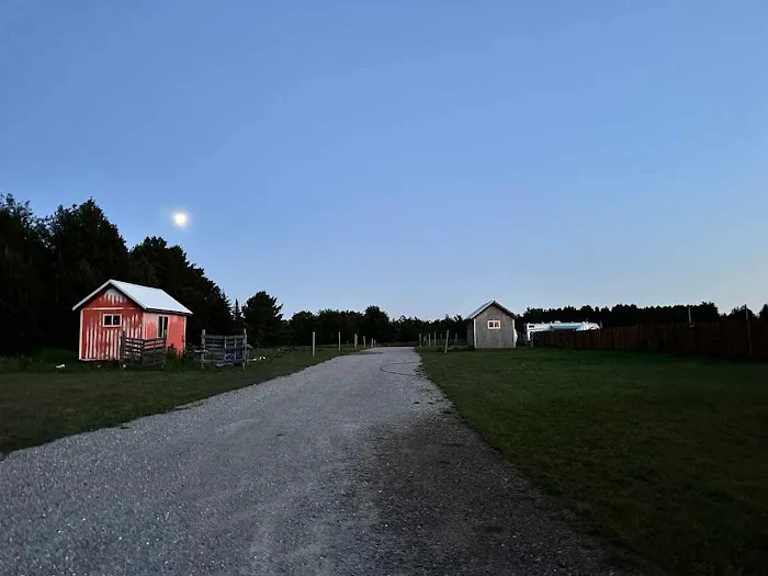 Lively Acres Campground Picture 3