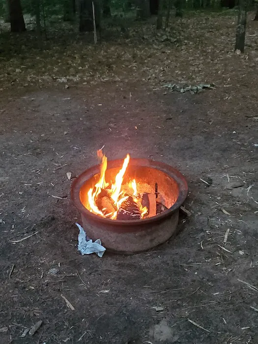 Empire Township Campground Picture 1