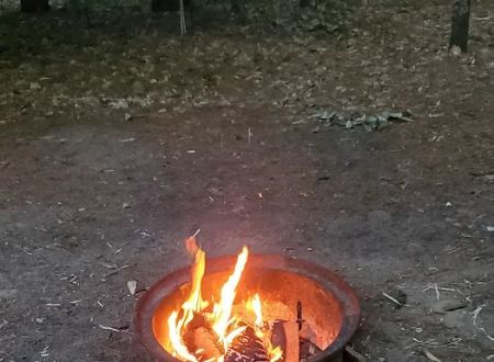 Empire Township Campground