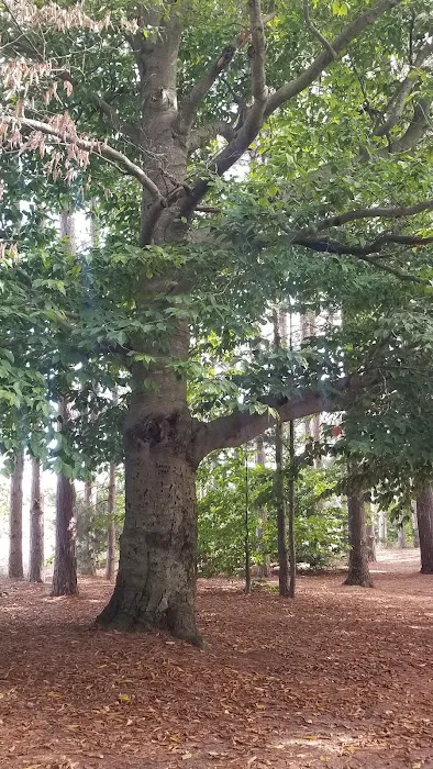 Empire Township Campground Picture 3