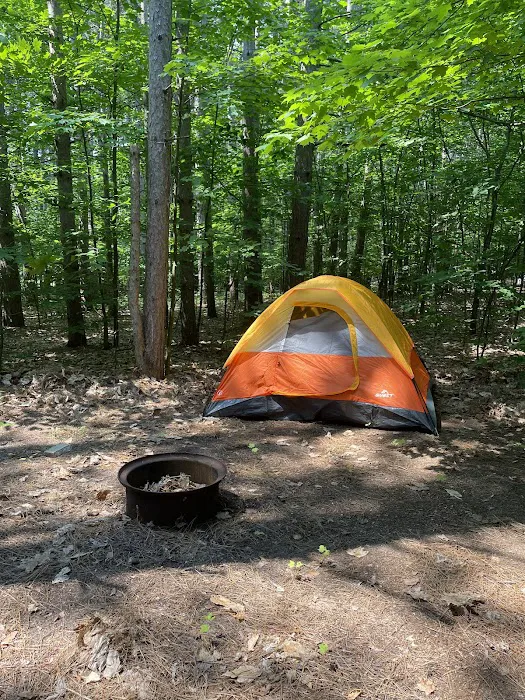 Empire Township Campground Picture 2