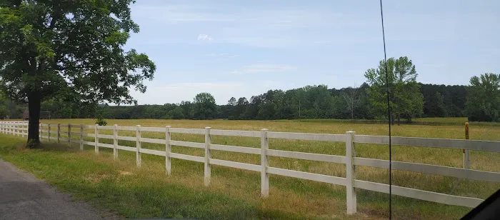 Toad's Mean Green RV Park Picture 3