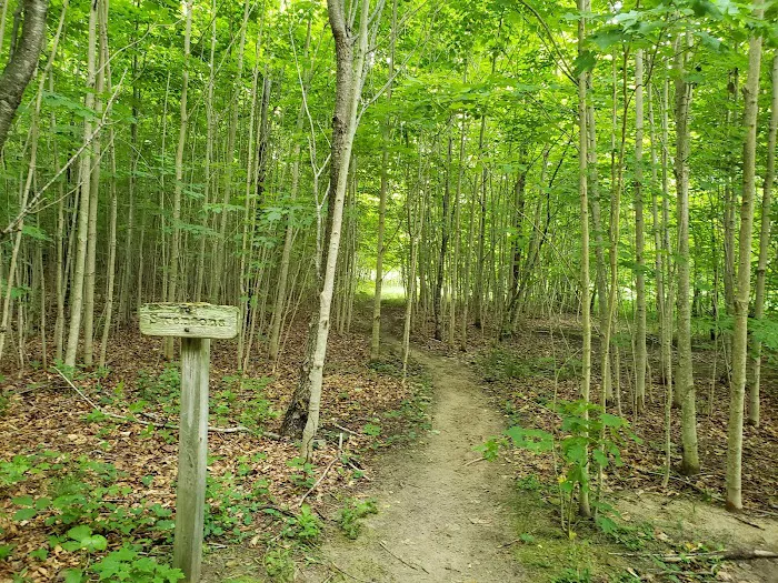 Village Campground North Manitou Island Picture 9