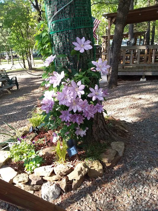 Lakeside RV Park Picture 10