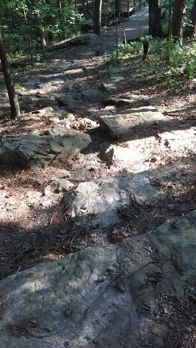 Heber Springs Mobile Home Community Picture 10