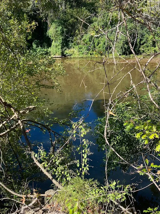 Little River RV Park Picture 10