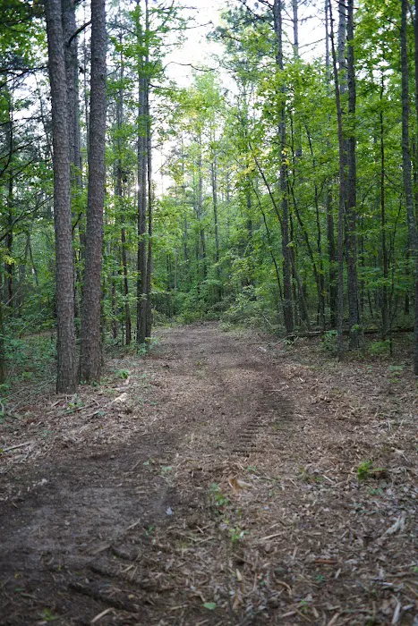 Dew Drop In RV Park Picture 10