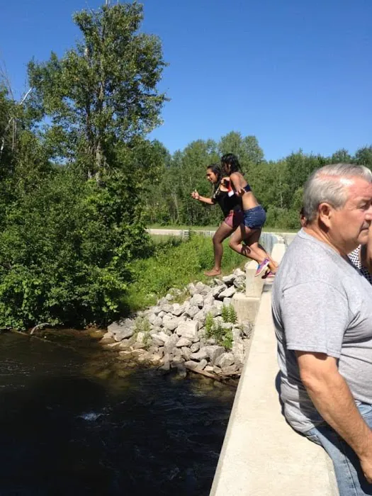 Sturgeon River Campground Picture 3
