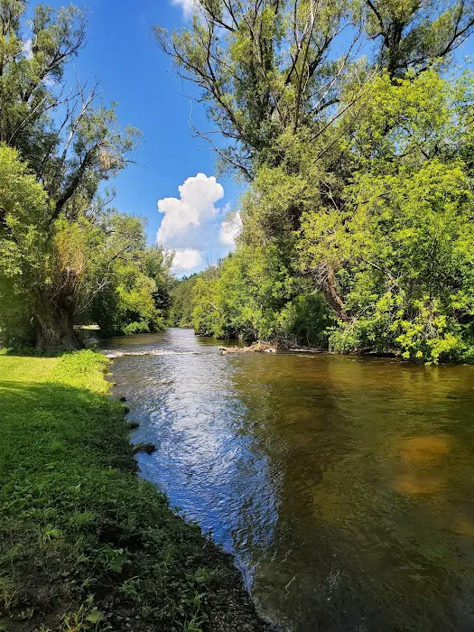 Sturgeon River Campground Picture 9