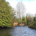 Haakwood State Forest Campground
