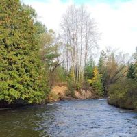 Haakwood State Forest Campground ico