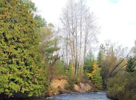 Haakwood State Forest Campground
