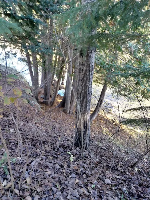 Haakwood State Forest Campground Picture 6