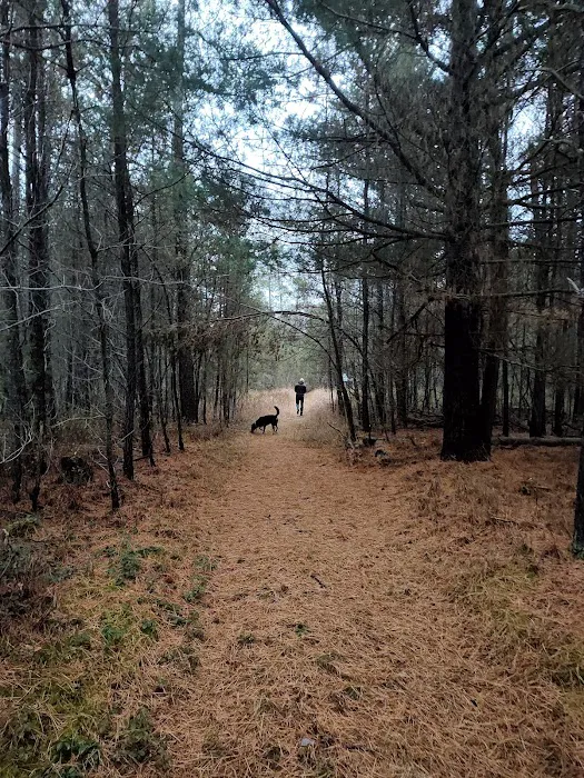 Elkwood Campground Picture 9