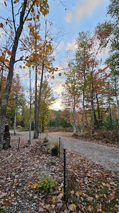 Elkwood Campground Picture 8