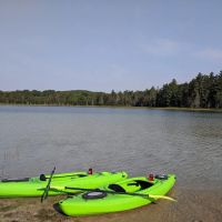 Pickerel Lake State Forest Campground ico