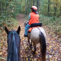 Elk Hill Group Equestrian Campground ico