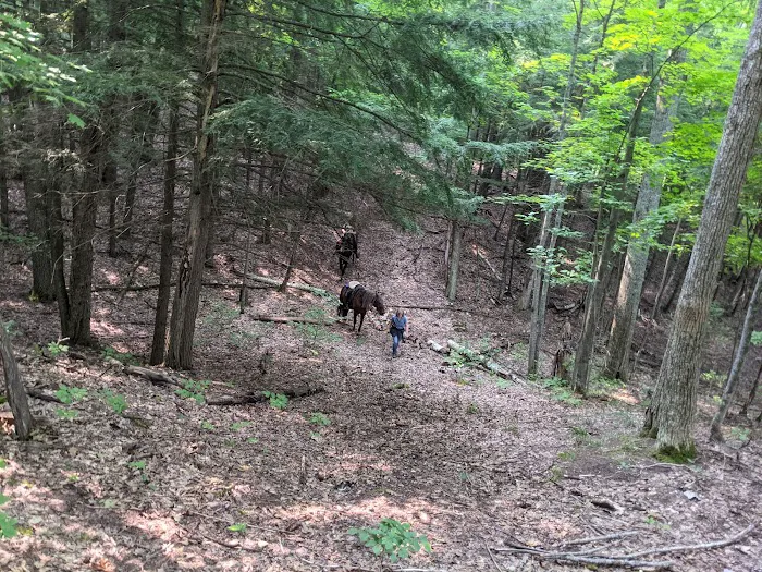 Elk Hill Group Equestrian Campground Picture 2