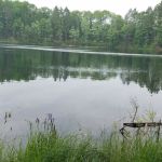 Elk Hill Equestrian State Forest Campground and Trail Camp