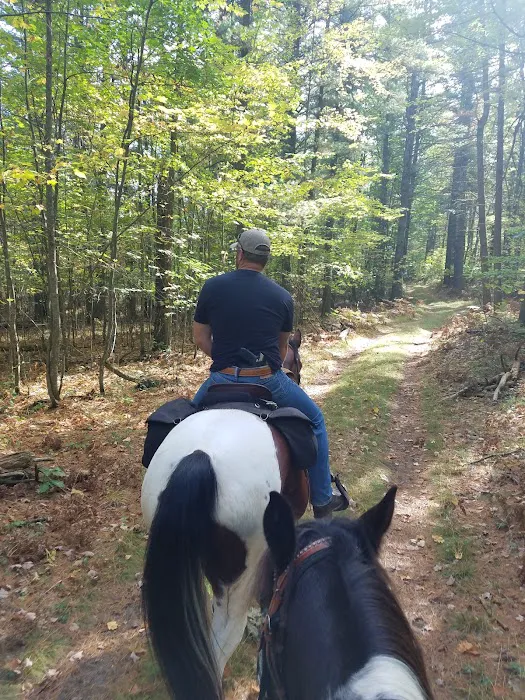 Elk Hill Equestrian State Forest Campground and Trail Camp Picture 6