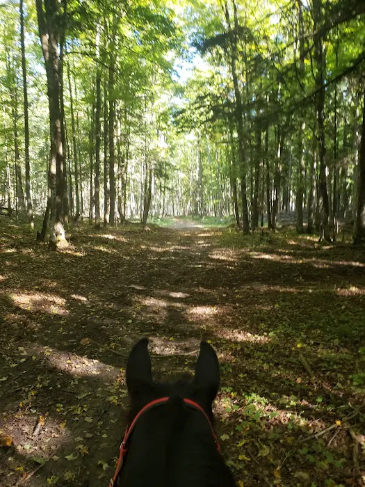 Elk Hill Equestrian State Forest Campground and Trail Camp Picture 7