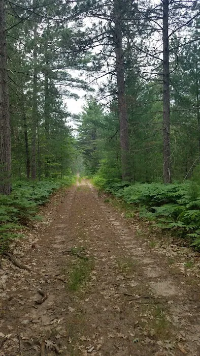 Elk Hill Equestrian State Forest Campground and Trail Camp Picture 3