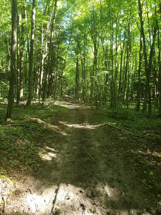 Elk Hill Equestrian State Forest Campground and Trail Camp Picture 10