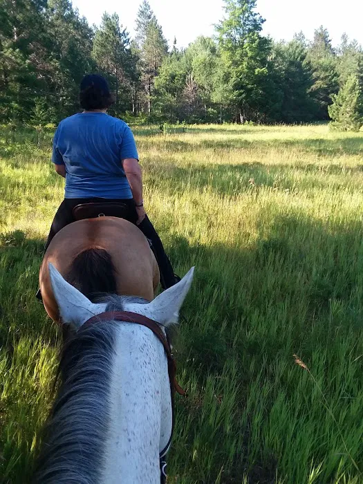 Elk Hill Equestrian State Forest Campground and Trail Camp Picture 9