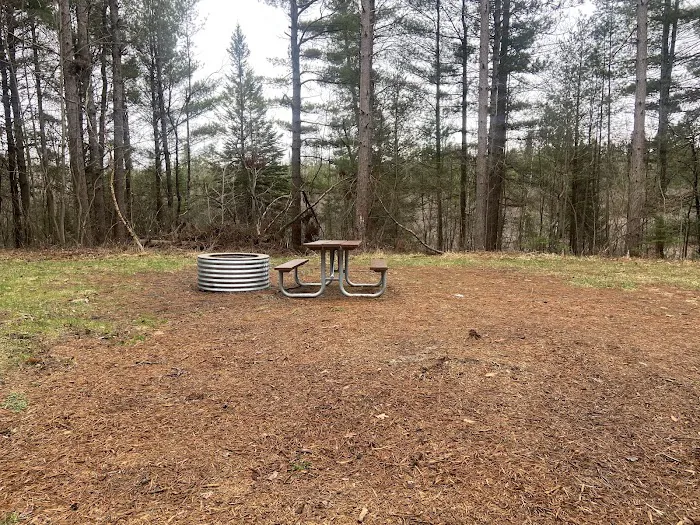 Pine Grove State Forest Campground Picture 1