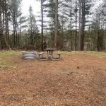 Pine Grove State Forest Campground