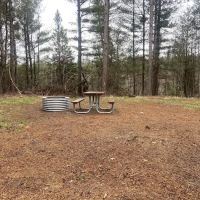 Pine Grove State Forest Campground ico