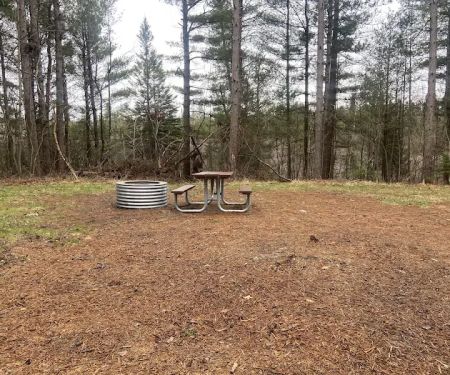 Pine Grove State Forest Campground