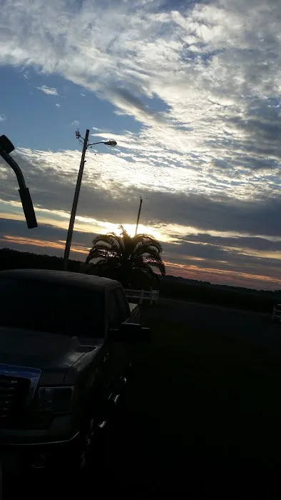 Magnolia Farms RV Park Picture 3