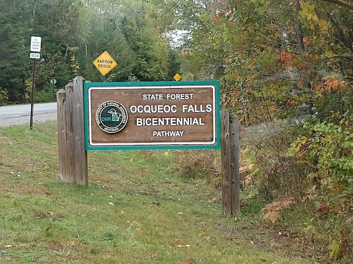 Ocqueoc Falls Campground Picture 2