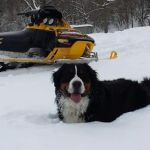 Adirondack