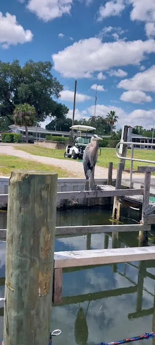Mid Florida Lakes Picture 7