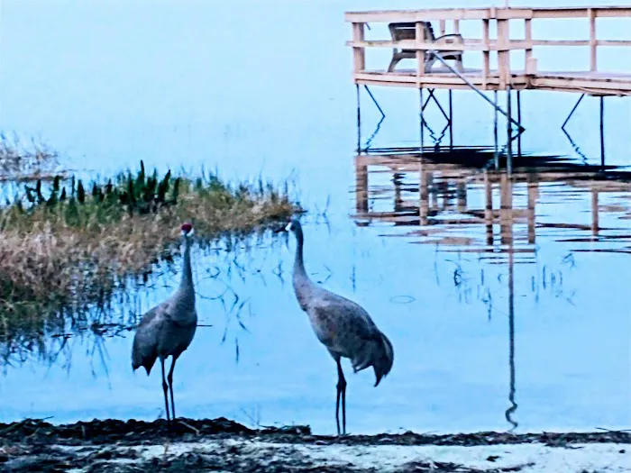 Mid Florida Lakes Picture 6