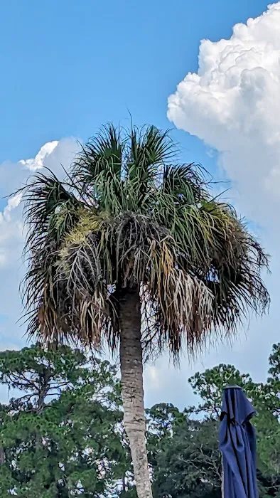 Mid Florida Lakes Picture 12