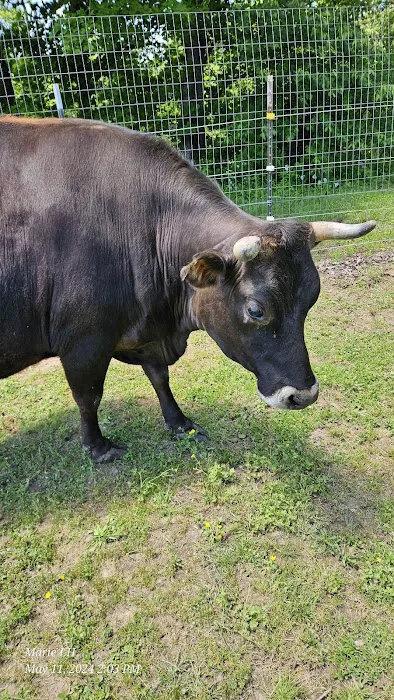 Goldfinch ranch Picture 10