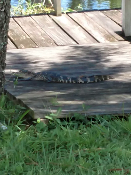 Lake Saunders RV Resort Picture 4