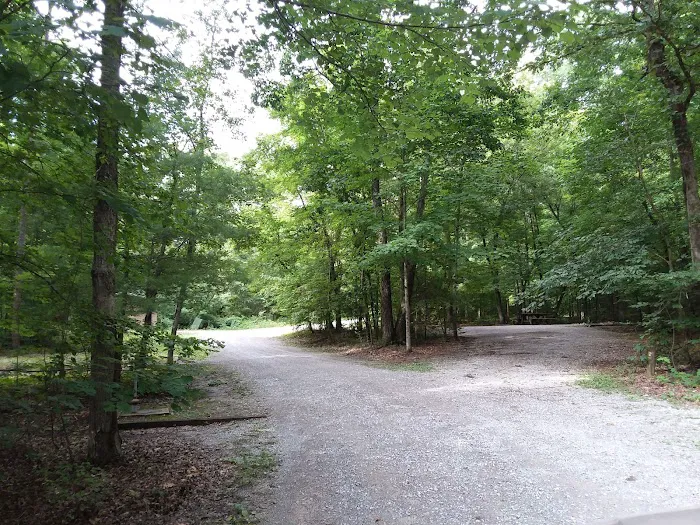 Lost Corral Horse Camp Picture 2