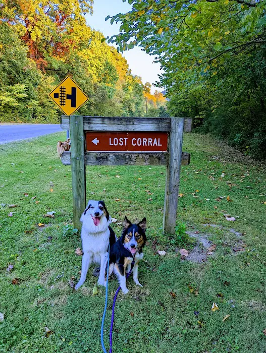 Lost Corral Horse Camp Picture 4