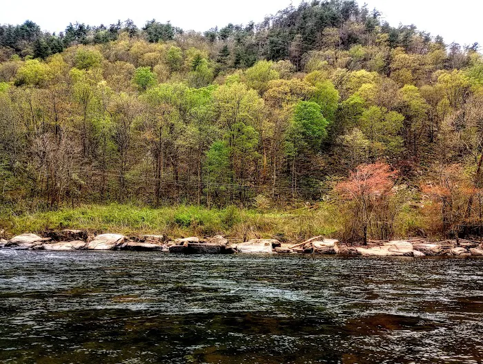 Gee Creek Campground Picture 2