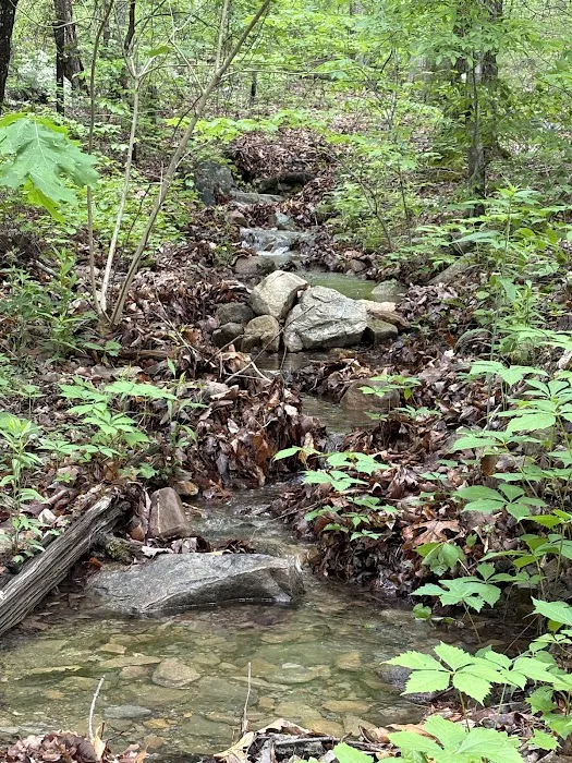 Ocoee Campin' Picture 4