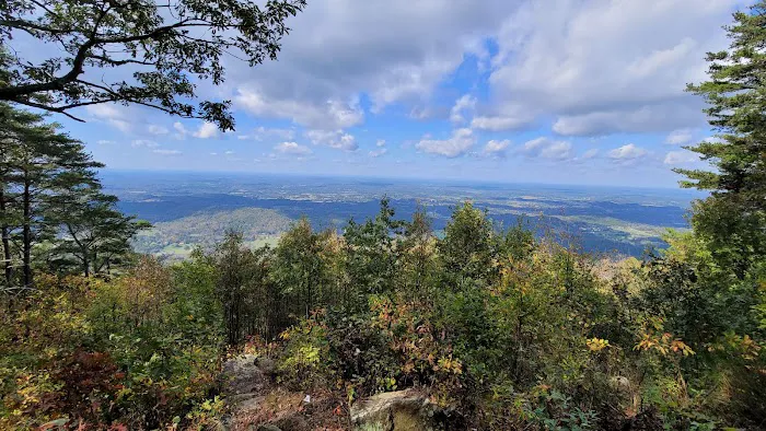 Chilhowee A and B Campground Picture 1