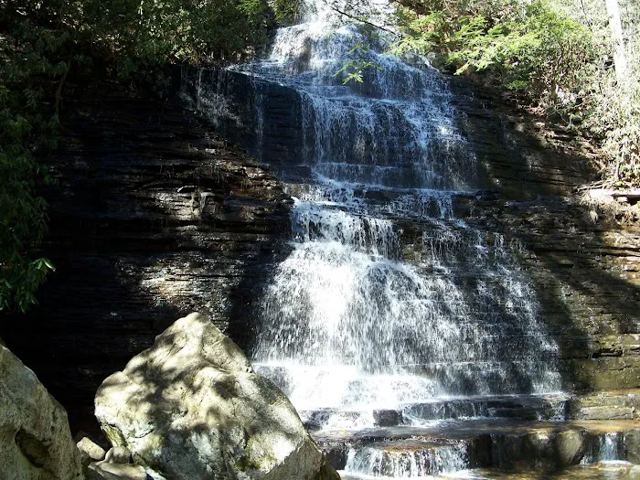 Chilhowee A and B Campground Picture 7
