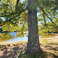Chilhowee Group Camp ico