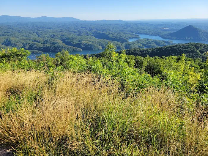 Chilhowee Group Camp Picture 7