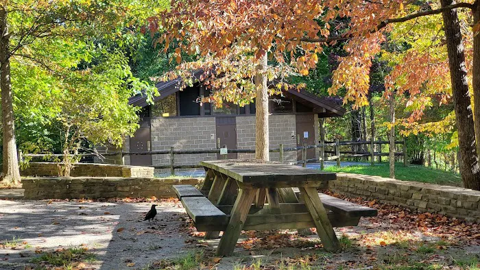 Chilhowee Group Camp Picture 8